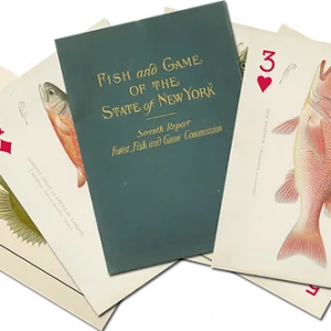 S.F Denton Game Fish of New York Art Card Deck